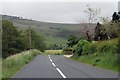 The road past Hodder Bank Farm