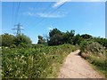 Throop: pylon line across the Stour Valley Way