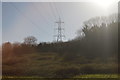 Pylon, Chaddlewood