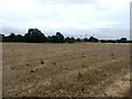 Field of Stubble at Laughton Common