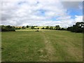 Towards the Uppingham Road