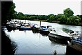 View of boats moored on the Thames at Marble Hill Park