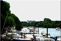 TQ1773 : View of the Royal Star and Garter Home from the Thames Path by Marble Hill Park by Robert Lamb