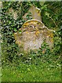 Eighteenth-century tombstone with skull and cross-bones, Singleton churchyard