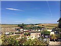 Summer on the Lincolnshire Wolds at Deepdale garden centre