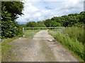 Coldrum Lane going west