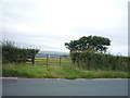 Field entrance off Barrowford Road (A6068)