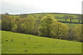 Valley near Trenadlyn