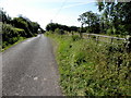 Corboe Road, Corkhill / Altanaveragh