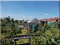 Allotments - Church Gardens