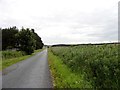 Looking east along Droverhouse Lane