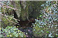 Small stream flowing to the River Tamar