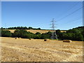 Electricity pylon in a field near Kingsmill Farm