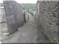 Back alley behind the houses in Oak St, Ferndale