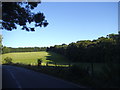 Fields by Faversham Road, Ospringe