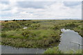 Salt marsh by St Lawrence Creek