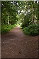 Path approaching the National Trust car park at Hindhead