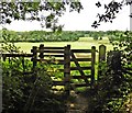 ST0605 : Kissing gate on footpath to Dulford by Roger Cornfoot