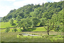 NY4902 : Fields around the River Sprint by Nigel Brown