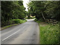 TM0080 : Entering Norfolk on B1111 Common Road by Geographer