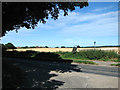 Fields south of Spixworth