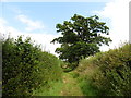 Track to Sloughpool Farm