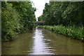 SP3783 : Looking back at Oxford Canal bridge No 7 by David Martin