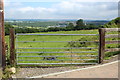 Field at Argoed Uchaf Farm