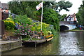 Canalside colour by Wharf Inn Bridge