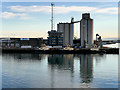 SU4209 : Ocean Dock, Southampton by David Dixon