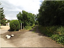 TL2012 : Footpath to Coleman Green Lane by Geographer