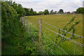 Topsham : Grassy Field & Path