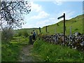 SK2453 : Public footpath to Brassington by Dave Dunford