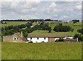 Byerley House farm from the south