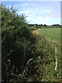 Towards Mowsbury Hill