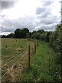 Alongside Ravensden Brook