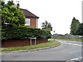 Beeches Hill at the junction of The Hangers