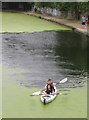 Canal canoe, Mile End