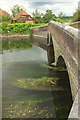 SU1617 : Bridge at Breamore Mill by Derek Harper