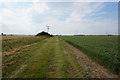 Bridleway leading to Blacktoft