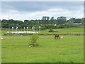 Fields off Thacka Lane