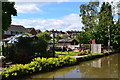 Gardens beside the Coventry Canal