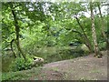 Keele University: Lake 2