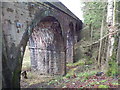 Carronhill Viaduct . Carronbridge