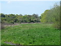 (Part of) Whitewebbs Park, south of Cuffley Brook (2)