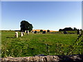 SU1069 : Stones at Avebury by PAUL FARMER
