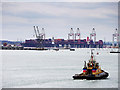 SU4209 : Southampton Docks by David Dixon
