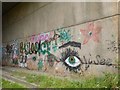 SJ8243 : Graffiti under M6 bridge by Jonathan Hutchins