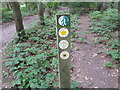 SU9485 : Waymarks for public and permissive footpaths in Dorney Wood by David Hawgood
