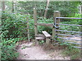 SU9485 : Stile on permissive path from Park Lane to Egypt Lane by David Hawgood
